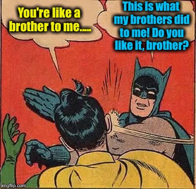 Batman Slapping Robin Meme | You're like a brother to me..... This is what my brothers did to me! Do you like it, brother? | image tagged in memes,batman slapping robin,funny,funny memes | made w/ Imgflip meme maker