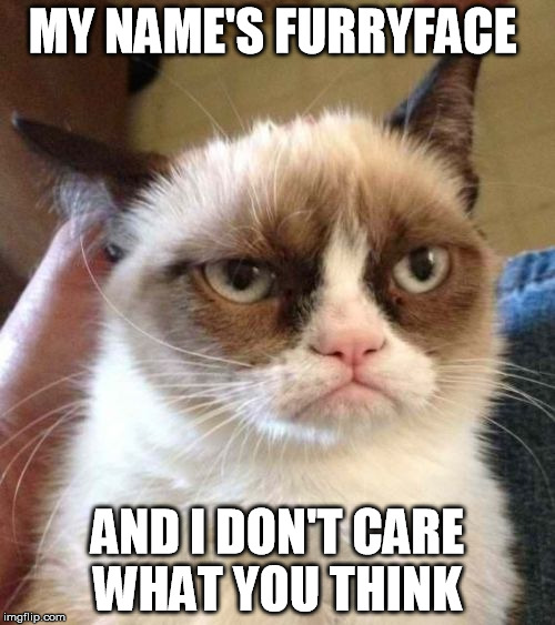 Grumpy Cat Reverse Meme | MY NAME'S FURRYFACE; AND I DON'T CARE WHAT YOU THINK | image tagged in memes,grumpy cat reverse,grumpy cat | made w/ Imgflip meme maker