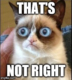 Grumpy Cat Shocked | THAT'S NOT RIGHT | image tagged in grumpy cat shocked | made w/ Imgflip meme maker