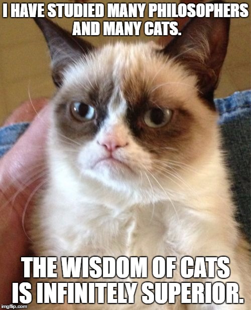 Grumpy Cat | I HAVE STUDIED MANY PHILOSOPHERS AND MANY CATS. THE WISDOM OF CATS IS INFINITELY SUPERIOR. | image tagged in memes,grumpy cat | made w/ Imgflip meme maker