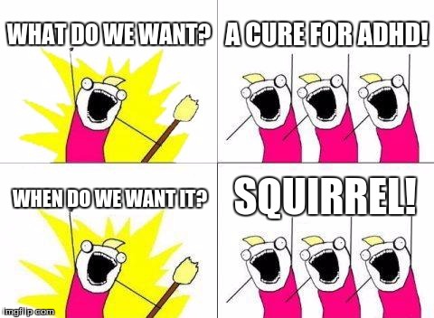 What Do We Want | WHAT DO WE WANT? A CURE FOR ADHD! SQUIRREL! WHEN DO WE WANT IT? | image tagged in memes,what do we want | made w/ Imgflip meme maker