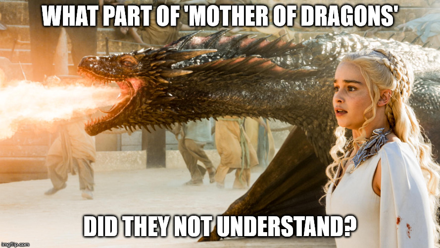 Game of Thrones | WHAT PART OF 'MOTHER OF DRAGONS'; DID THEY NOT UNDERSTAND? | image tagged in game of thrones | made w/ Imgflip meme maker