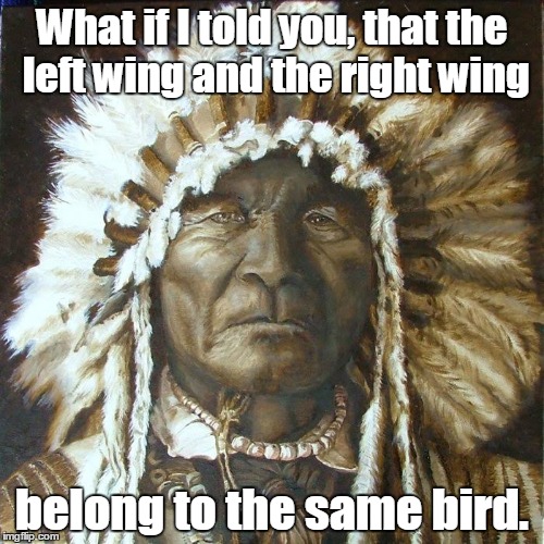 Yes, this is politically inclined.  | What if I told you, that the left wing and the right wing; belong to the same bird. | image tagged in funny meme,political,indian | made w/ Imgflip meme maker
