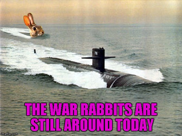 THE WAR RABBITS ARE STILL AROUND TODAY | made w/ Imgflip meme maker