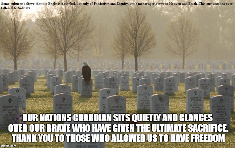 The fallen | OUR NATIONS GUARDIAN SITS QUIETLY AND GLANCES OVER OUR BRAVE WHO HAVE GIVEN THE ULTIMATE SACRIFICE. THANK YOU TO THOSE WHO ALLOWED US TO HAVE FREEDOM | image tagged in fallen soldiers | made w/ Imgflip meme maker