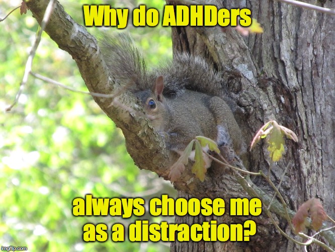 Why do ADHDers always choose me as a distraction? | made w/ Imgflip meme maker