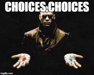 Choices | CHOICES,CHOICES | image tagged in choices | made w/ Imgflip meme maker