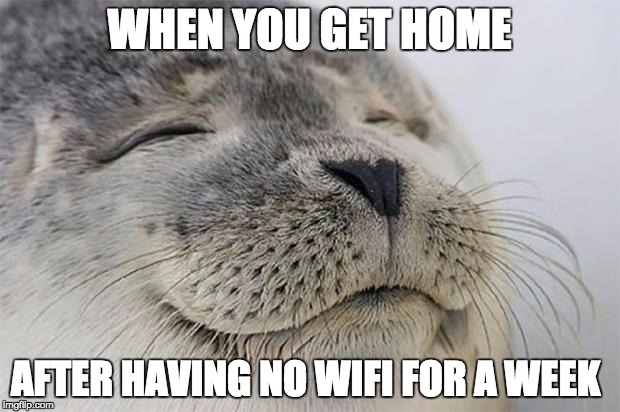 Satisfied Seal | WHEN YOU GET HOME; AFTER HAVING NO WIFI FOR A WEEK | image tagged in memes,satisfied seal | made w/ Imgflip meme maker
