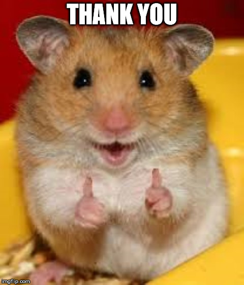 Thumbs up hamster  | THANK YOU | image tagged in thumbs up hamster | made w/ Imgflip meme maker