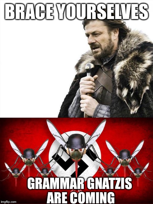 BRACE YOURSELVES GRAMMAR GNATZIS ARE COMING | made w/ Imgflip meme maker