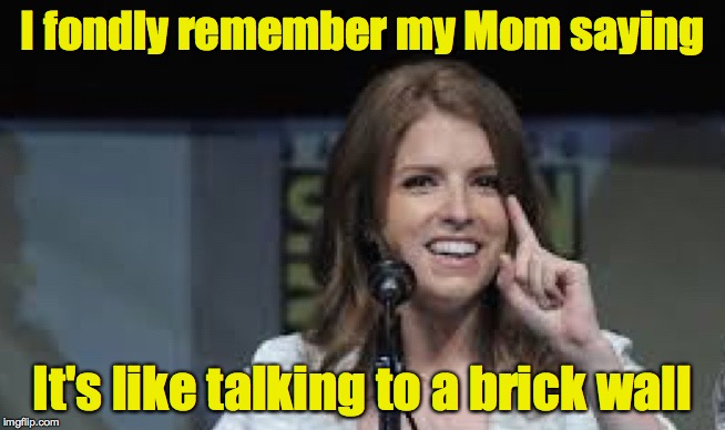 Condescending Anna | I fondly remember my Mom saying It's like talking to a brick wall | image tagged in condescending anna | made w/ Imgflip meme maker