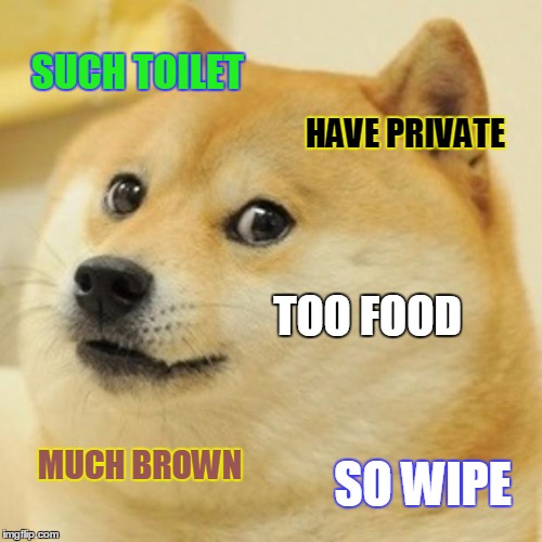 Doge | SUCH TOILET; HAVE PRIVATE; TOO FOOD; MUCH BROWN; SO WIPE | image tagged in memes,doge | made w/ Imgflip meme maker