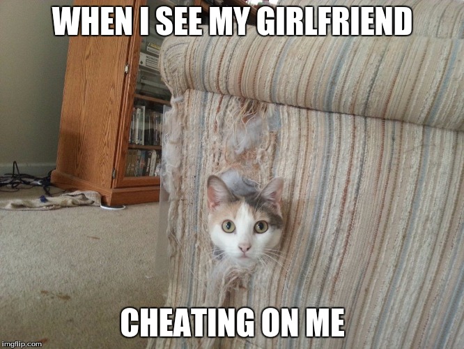 WHEN I SEE MY GIRLFRIEND; CHEATING ON ME | image tagged in when i see girlfirend | made w/ Imgflip meme maker
