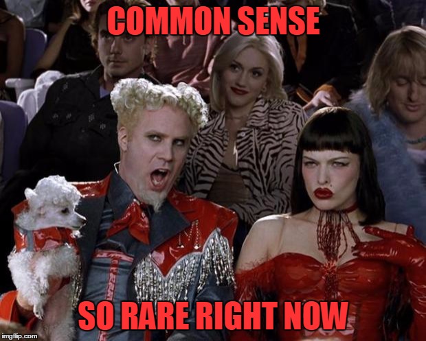 Mugatu So Hot Right Now Meme | COMMON SENSE SO RARE RIGHT NOW | image tagged in memes,mugatu so hot right now | made w/ Imgflip meme maker