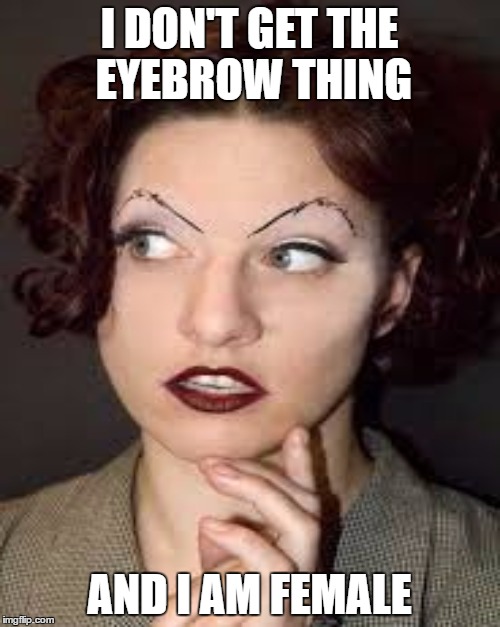I DON'T GET THE EYEBROW THING AND I AM FEMALE | made w/ Imgflip meme maker