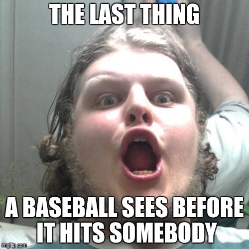 WTF | THE LAST THING; A BASEBALL SEES BEFORE IT HITS SOMEBODY | image tagged in wtf,memes | made w/ Imgflip meme maker
