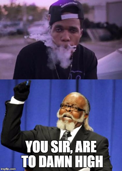 Stoners be like: | YOU SIR, ARE TO DAMN HIGH | image tagged in drugs,funny,too damn high,stoned | made w/ Imgflip meme maker