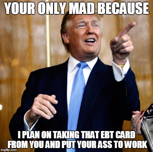 Donald Trump | YOUR ONLY MAD BECAUSE; I PLAN ON TAKING THAT EBT CARD FROM YOU AND PUT YOUR ASS TO WORK | image tagged in donald trump | made w/ Imgflip meme maker