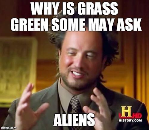Ancient Aliens Meme | WHY IS GRASS GREEN SOME MAY ASK; ALIENS | image tagged in memes,ancient aliens | made w/ Imgflip meme maker