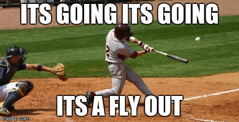 ITS GOING ITS GOING; ITS A FLY OUT | image tagged in baseball,memes | made w/ Imgflip meme maker