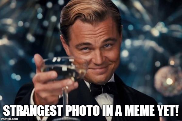 Leonardo Dicaprio Cheers Meme | STRANGEST PHOTO IN A MEME YET! | image tagged in memes,leonardo dicaprio cheers | made w/ Imgflip meme maker