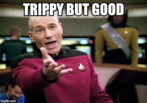 Picard Wtf Meme | TRIPPY BUT GOOD | image tagged in memes,picard wtf | made w/ Imgflip meme maker