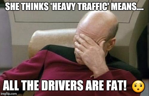 Captain Picard Facepalm | SHE THINKS 'HEAVY TRAFFIC' MEANS.... ALL THE DRIVERS ARE FAT!  😯 | image tagged in memes,captain picard facepalm | made w/ Imgflip meme maker