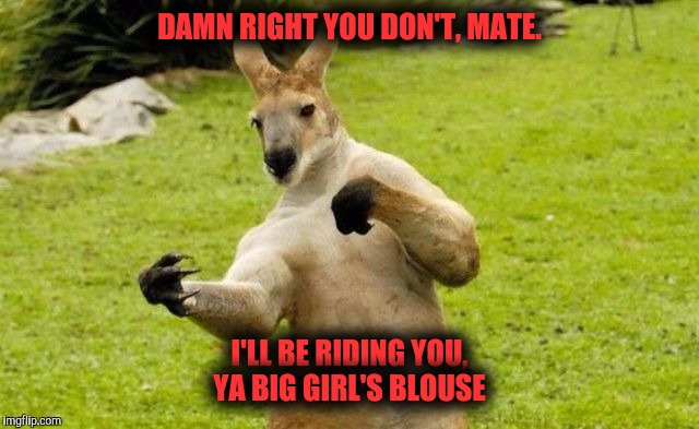 DAMN RIGHT YOU DON'T, MATE. I'LL BE RIDING YOU, YA BIG GIRL'S BLOUSE | made w/ Imgflip meme maker