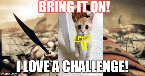 Sparta Leonidas Meme | BRING IT ON! I LOVE A CHALLENGE! | image tagged in memes,sparta leonidas,scumbag | made w/ Imgflip meme maker