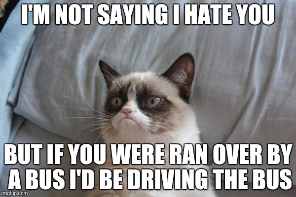 Grumpy Cat Bed | I'M NOT SAYING I HATE YOU; BUT IF YOU WERE RAN OVER BY A BUS I'D BE DRIVING THE BUS | image tagged in memes,grumpy cat bed,grumpy cat | made w/ Imgflip meme maker
