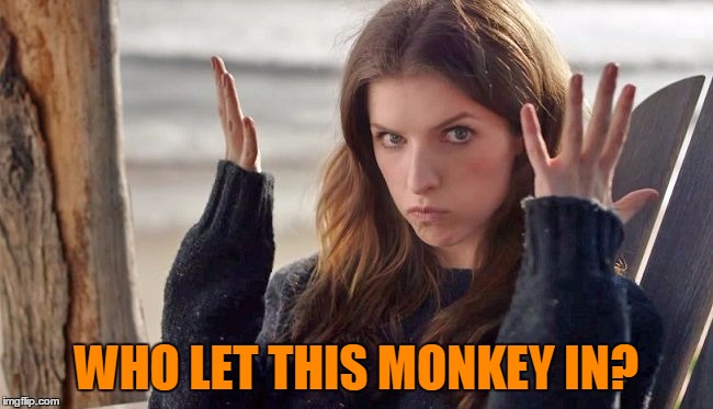 WHO LET THIS MONKEY IN? | made w/ Imgflip meme maker