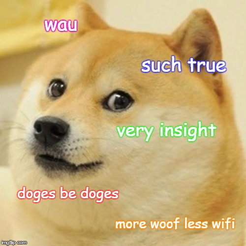 Doge Meme | wau such true very insight doges be doges more woof less wifi | image tagged in memes,doge | made w/ Imgflip meme maker
