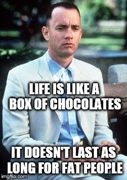 Forest gump | LIFE IS LIKE A BOX OF CHOCOLATES; IT DOESN'T LAST AS LONG FOR FAT PEOPLE | image tagged in forest gump | made w/ Imgflip meme maker