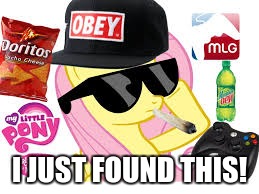 MLG Pony | I JUST FOUND THIS! | image tagged in mlg pony | made w/ Imgflip meme maker