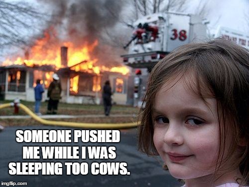 SOMEONE PUSHED ME WHILE I WAS SLEEPING TOO COWS. | image tagged in memes,disaster girl | made w/ Imgflip meme maker