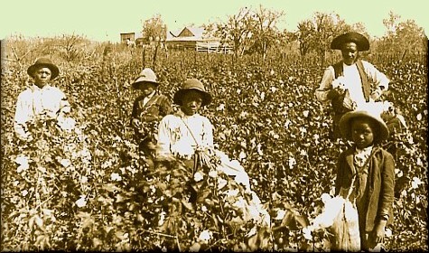 cotton slaves Blank Meme Template
