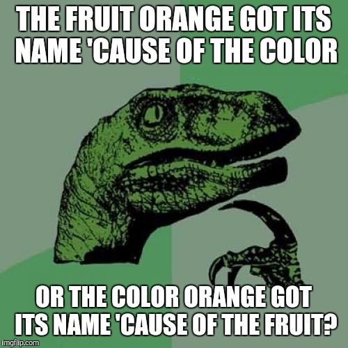 Philosoraptor Meme |  THE FRUIT ORANGE GOT ITS NAME 'CAUSE OF THE COLOR; OR THE COLOR ORANGE GOT ITS NAME 'CAUSE OF THE FRUIT? | image tagged in memes,philosoraptor | made w/ Imgflip meme maker
