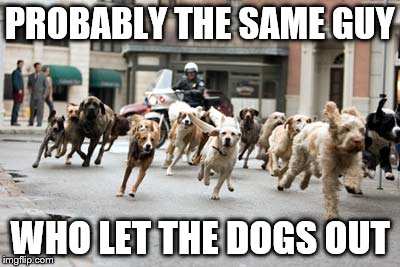 Let the Dogs Out | PROBABLY THE SAME GUY WHO LET THE DOGS OUT | image tagged in let the dogs out | made w/ Imgflip meme maker