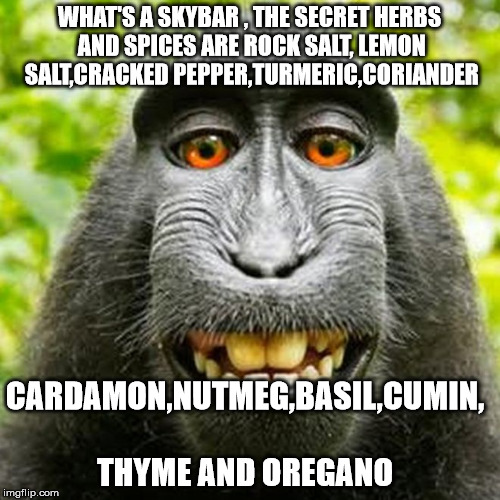 WHAT'S A SKYBAR , THE SECRET HERBS AND SPICES ARE ROCK SALT, LEMON SALT,CRACKED PEPPER,TURMERIC,CORIANDER CARDAMON,NUTMEG,BASIL,CUMIN, THYME | made w/ Imgflip meme maker