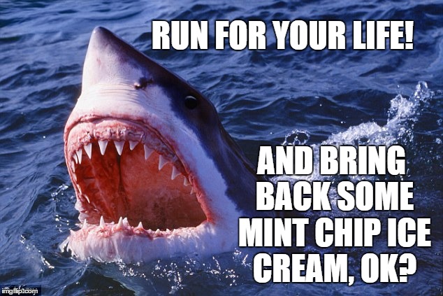 RUN FOR YOUR LIFE! AND BRING BACK SOME MINT CHIP ICE CREAM, OK? | image tagged in shark 2 | made w/ Imgflip meme maker