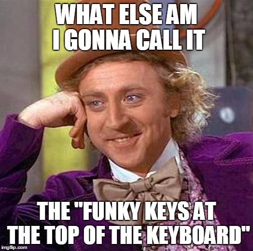 Creepy Condescending Wonka Meme | WHAT ELSE AM I GONNA CALL IT THE "FUNKY KEYS AT THE TOP OF THE KEYBOARD" | image tagged in memes,creepy condescending wonka | made w/ Imgflip meme maker