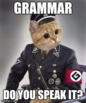 gramer notzi | GRAMMAR; DO YOU SPEAK IT? | image tagged in gramer notzi | made w/ Imgflip meme maker