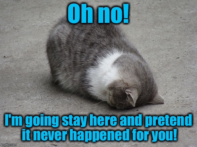 Oh no! I'm going stay here and pretend it never happened for you! | made w/ Imgflip meme maker