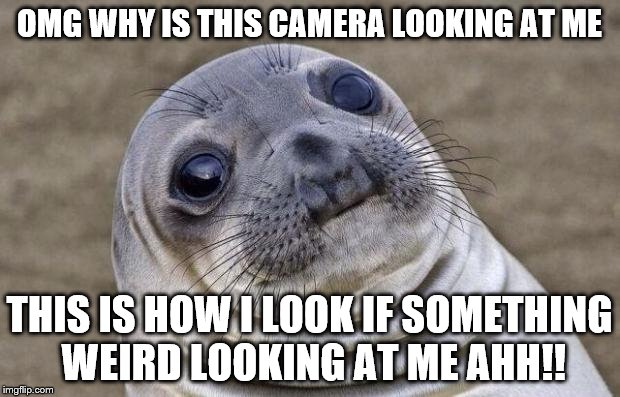 Awkward Moment Sealion Meme | OMG WHY IS THIS CAMERA LOOKING AT ME; THIS IS HOW I LOOK IF SOMETHING WEIRD LOOKING AT ME AHH!! | image tagged in memes,awkward moment sealion | made w/ Imgflip meme maker