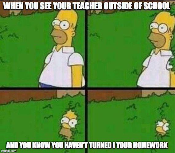 Homer Simpson in Bush - Large | WHEN YOU SEE YOUR TEACHER OUTSIDE OF SCHOOL; AND YOU KNOW YOU HAVEN'T TURNED I YOUR HOMEWORK | image tagged in homer simpson in bush - large | made w/ Imgflip meme maker