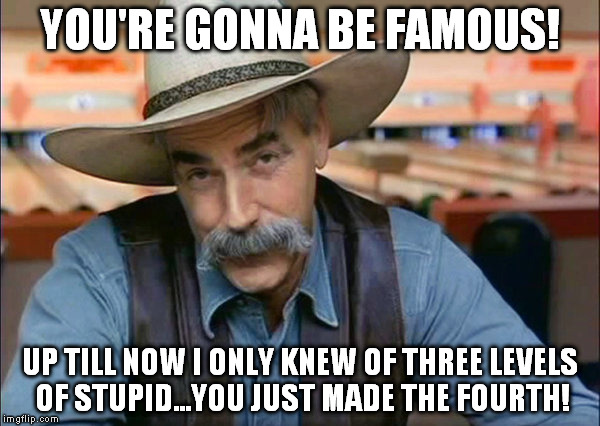 you're going to be famous | YOU'RE GONNA BE FAMOUS! UP TILL NOW I ONLY KNEW OF THREE LEVELS OF STUPID...YOU JUST MADE THE FOURTH! | image tagged in three levels of stupid | made w/ Imgflip meme maker