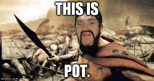 300 Guy: Stoned in Sparta | THIS IS; POT. | image tagged in memes,300 guy | made w/ Imgflip meme maker