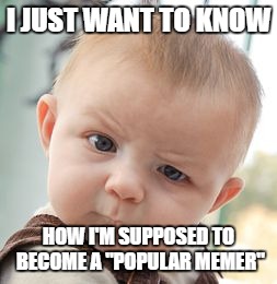 Srsly, how? | I JUST WANT TO KNOW; HOW I'M SUPPOSED TO BECOME A "POPULAR MEMER" | image tagged in memes,skeptical baby | made w/ Imgflip meme maker