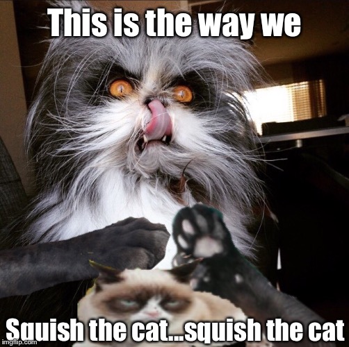 This is the way we Squish the cat...squish the cat | made w/ Imgflip meme maker