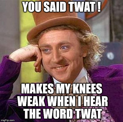 Creepy Condescending Wonka Meme | YOU SAID TWAT ! MAKES MY KNEES WEAK WHEN I HEAR THE WORD TWAT | image tagged in memes,creepy condescending wonka | made w/ Imgflip meme maker